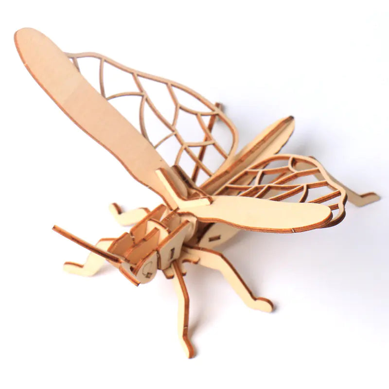 DIY Wooden Insect Model Puzzle for Kids (3D Craft)