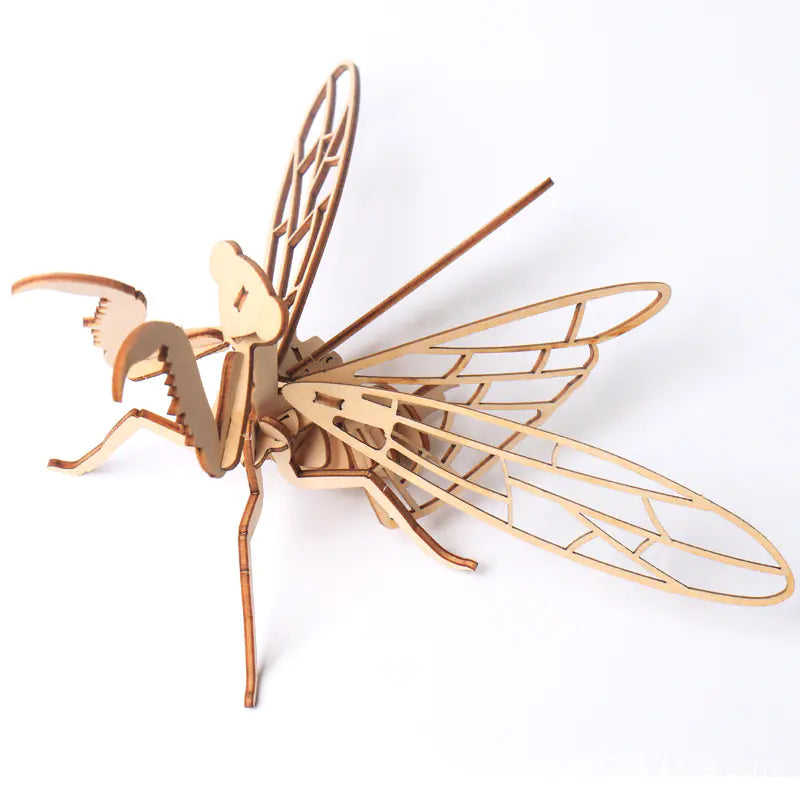 DIY Wooden Insect Model Puzzle for Kids (3D Craft)