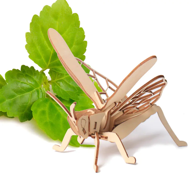 DIY Wooden Insect Model Puzzle for Kids (3D Craft)