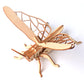 DIY Wooden Insect Model Puzzle for Kids (3D Craft)