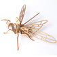 DIY Wooden Insect Model Puzzle for Kids (3D Craft)