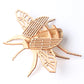 DIY Wooden Insect Model Puzzle for Kids (3D Craft)